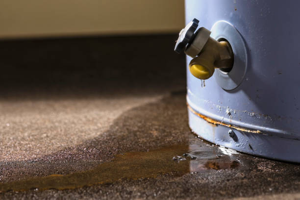 Best Water damage repair service  in Temple, TX
