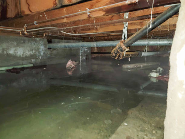 Water damage restoration experts