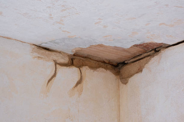 Best Local water damage restoration  in Temple, TX