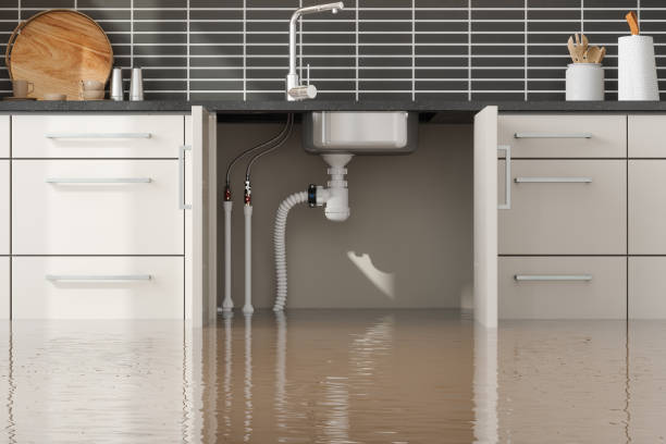 Best Basement water damage restoration  in Temple, TX